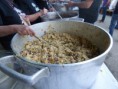 /album/festa-da-primavera/p1010346-jpg/